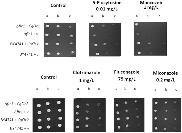 Figure 5