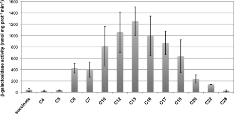 FIG. 5.