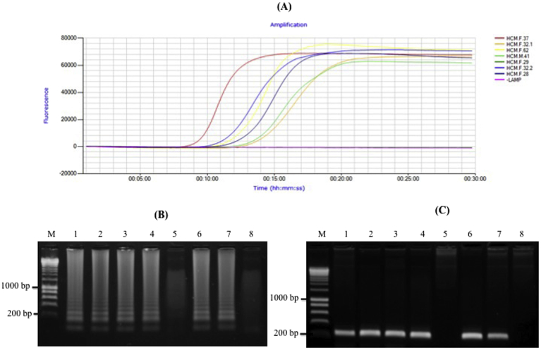 Fig. 2