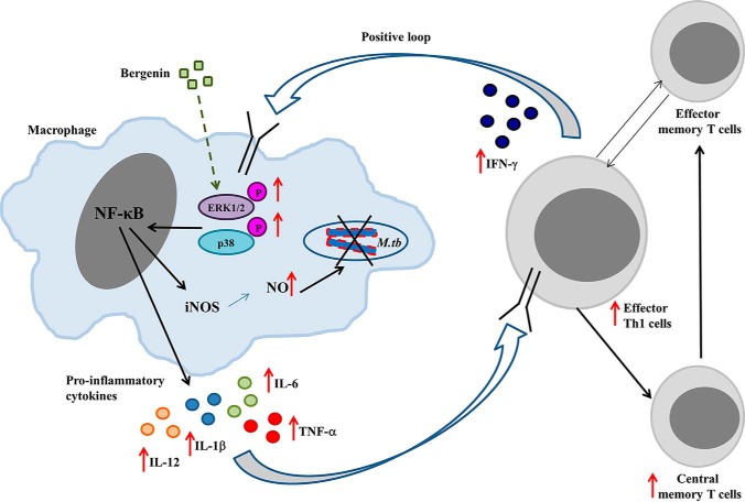 Figure 6.