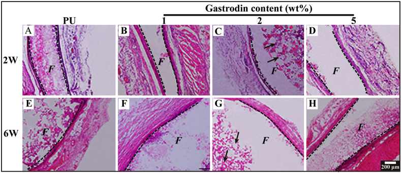 Fig. 11