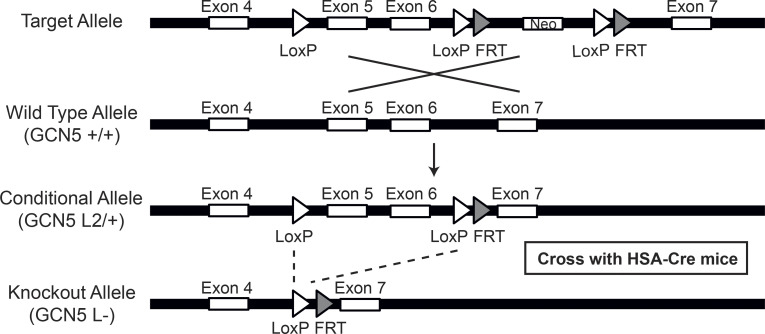 Figure S1.