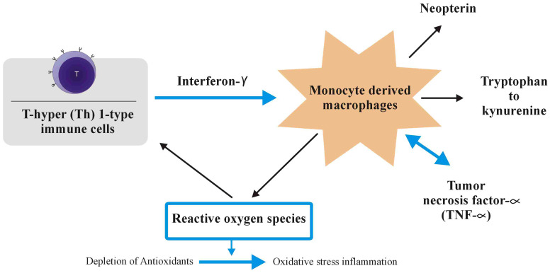 Figure 2