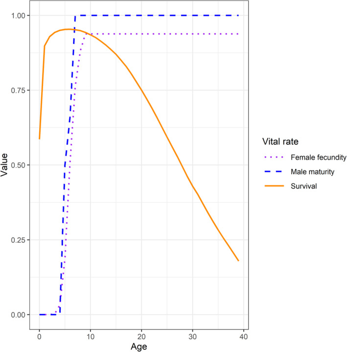 FIGURE 3