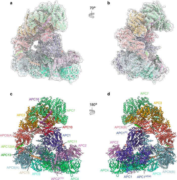 Fig. 7