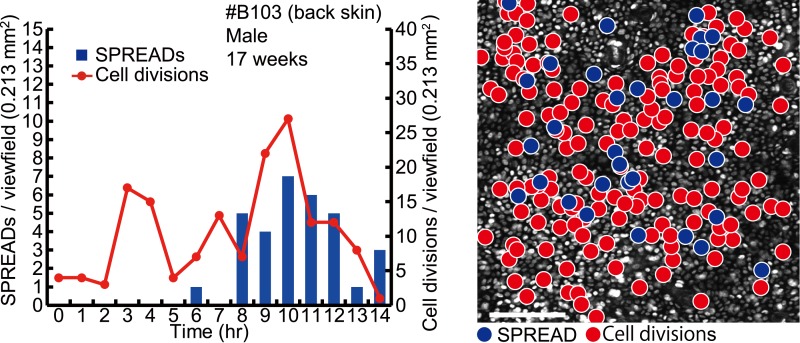 Figure 4—figure supplement 2.