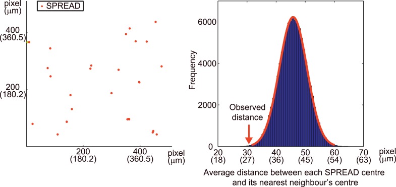 Figure 4—figure supplement 3.