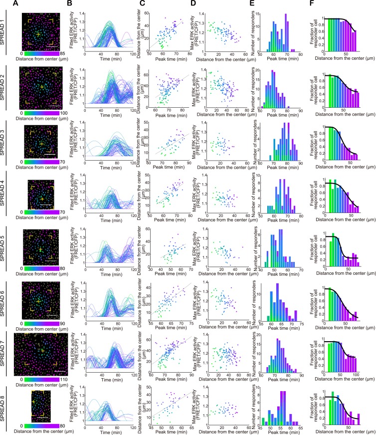 Figure 3—figure supplement 1.