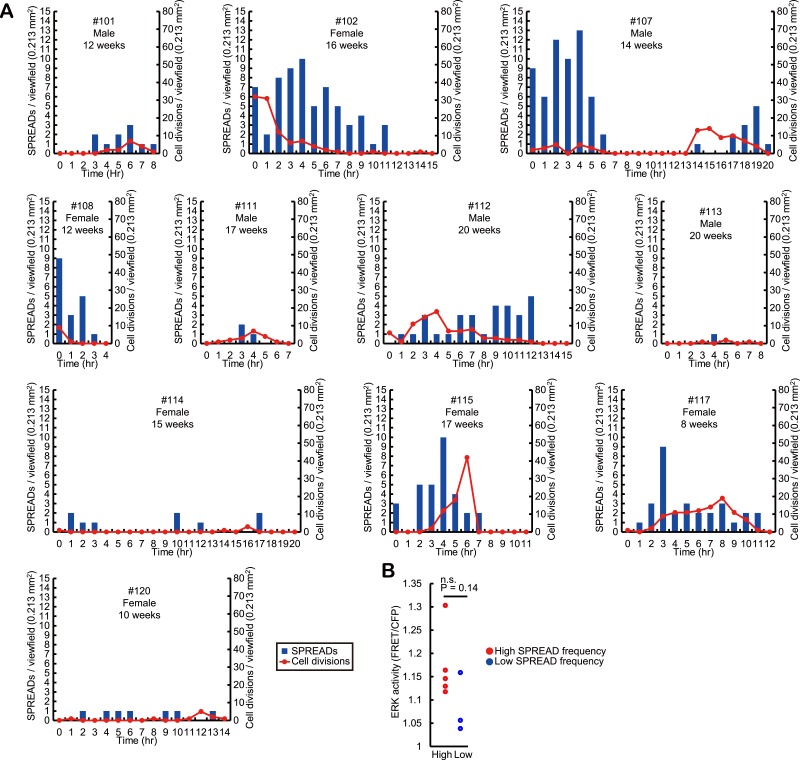 Figure 4—figure supplement 1.