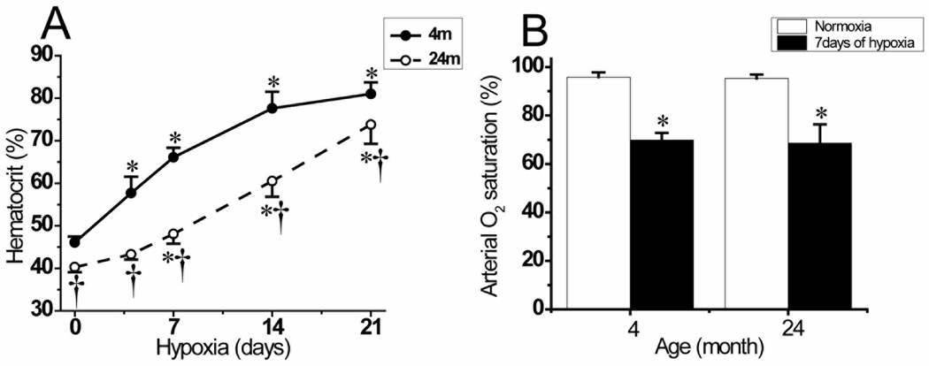 Fig.3