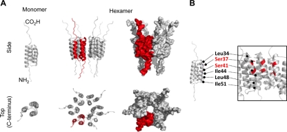 Fig 5