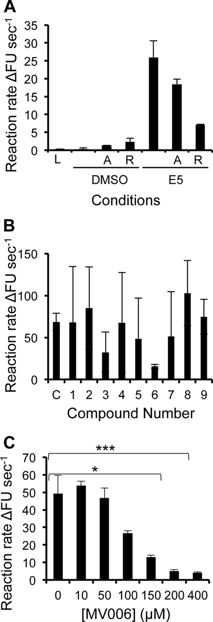 Fig 6