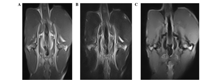 Figure 2.