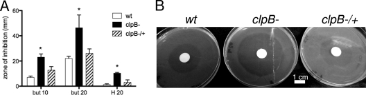 Fig. 6.