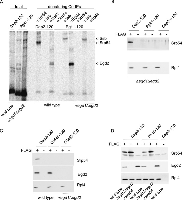 FIGURE 1: