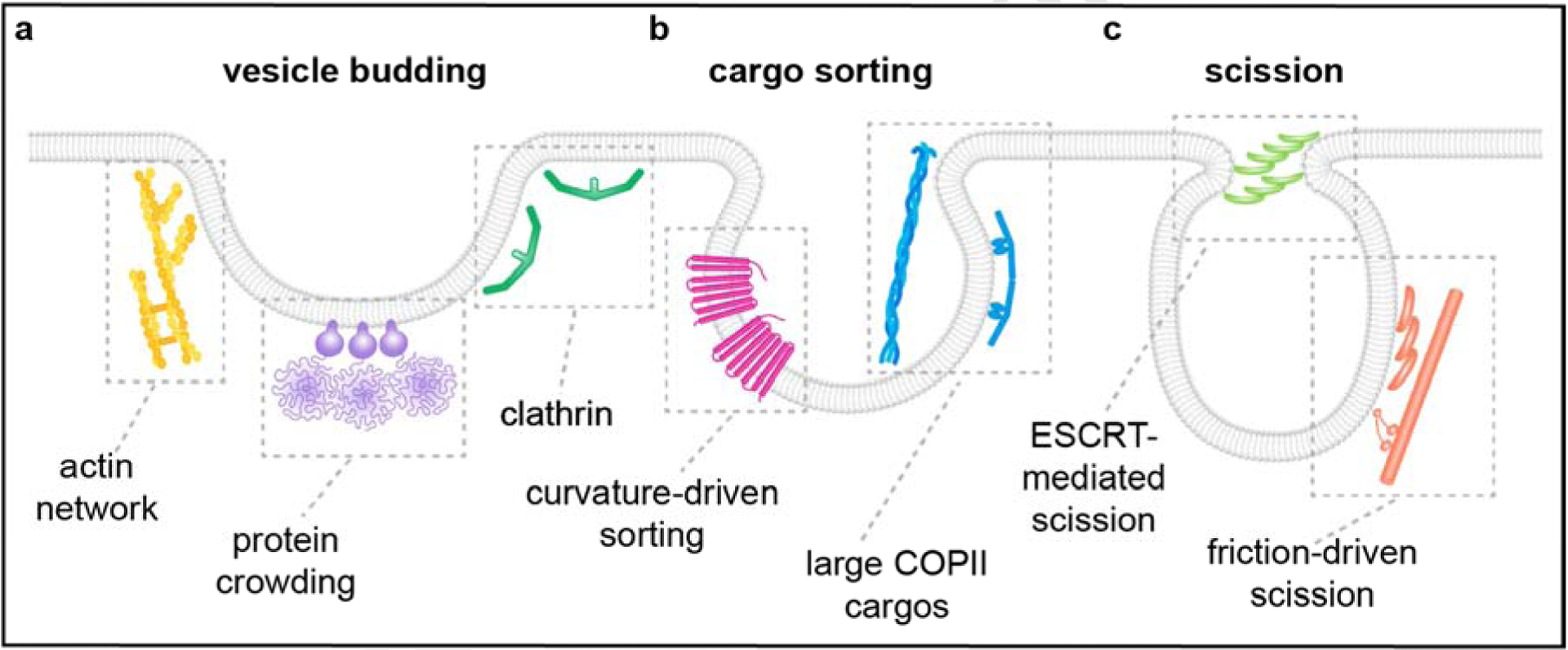 Figure 1: