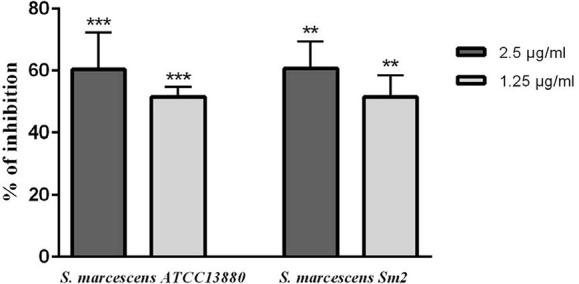 Fig. 8.