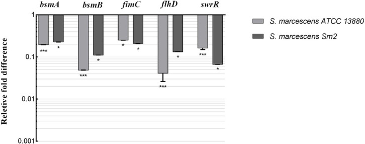 Fig. 9.