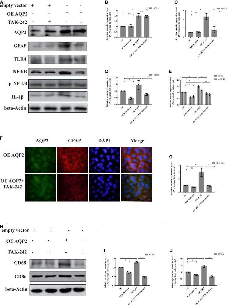 Figure 6