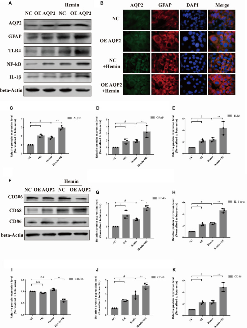 Figure 4