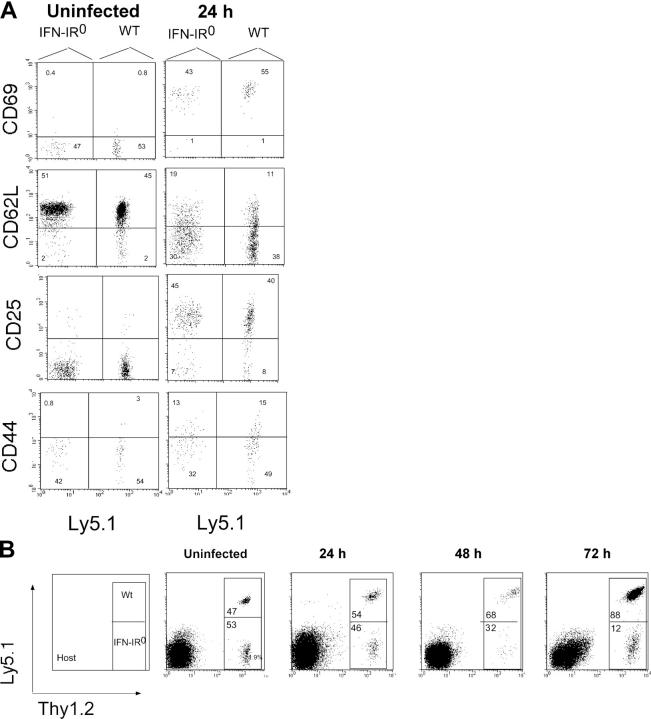 Figure 9.