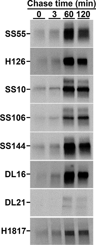 FIG 1