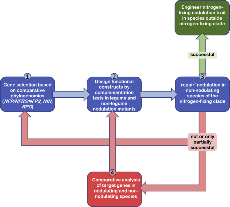 Figure 4