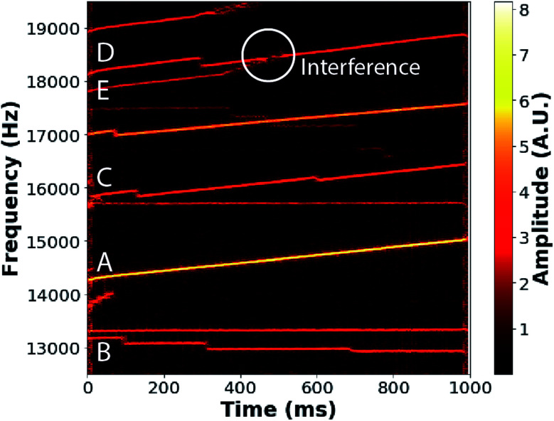 Fig. 1