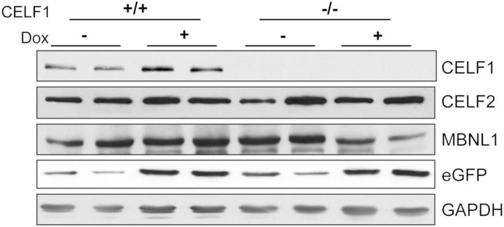 Figure 2.