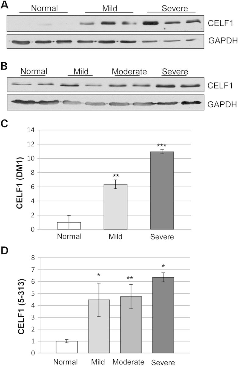 Figure 1.