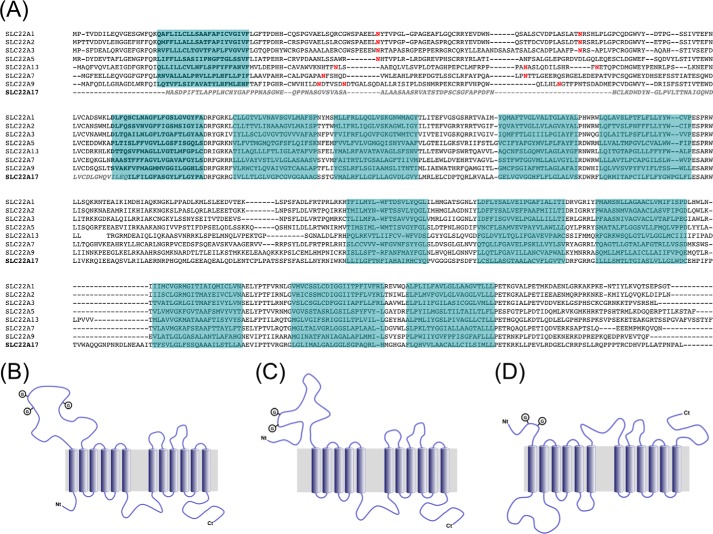 FIGURE 1.