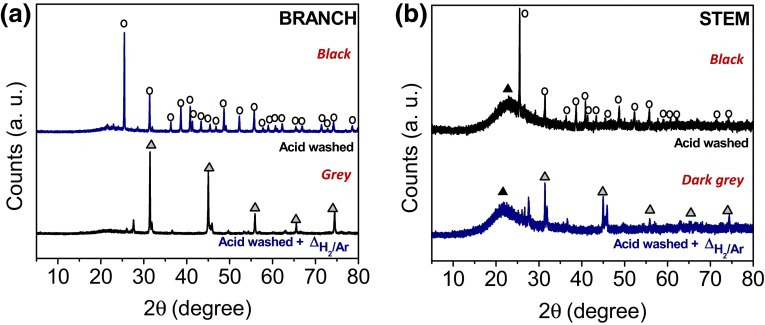 Fig. 12