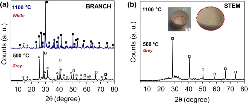 Fig. 7