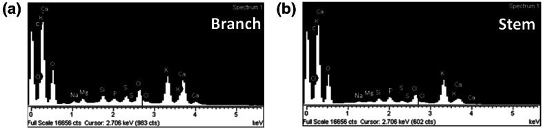 Fig. 3