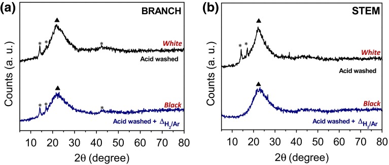 Fig. 10