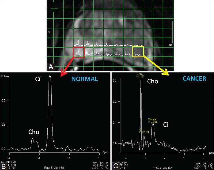 Figure 3(A-C)