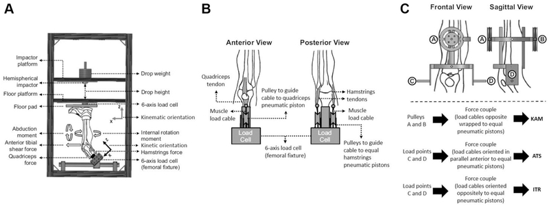 Figure 1: