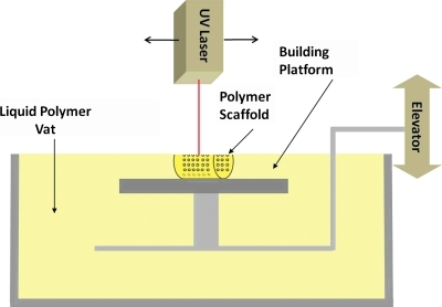 FIG. 1.