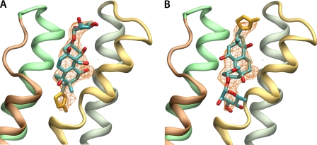 FIGURE 5.