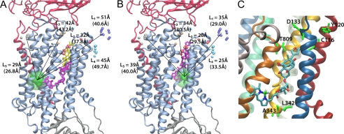 FIGURE 4.