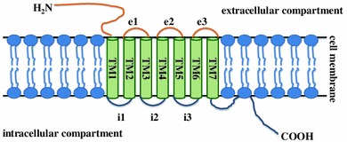 Fig. 1