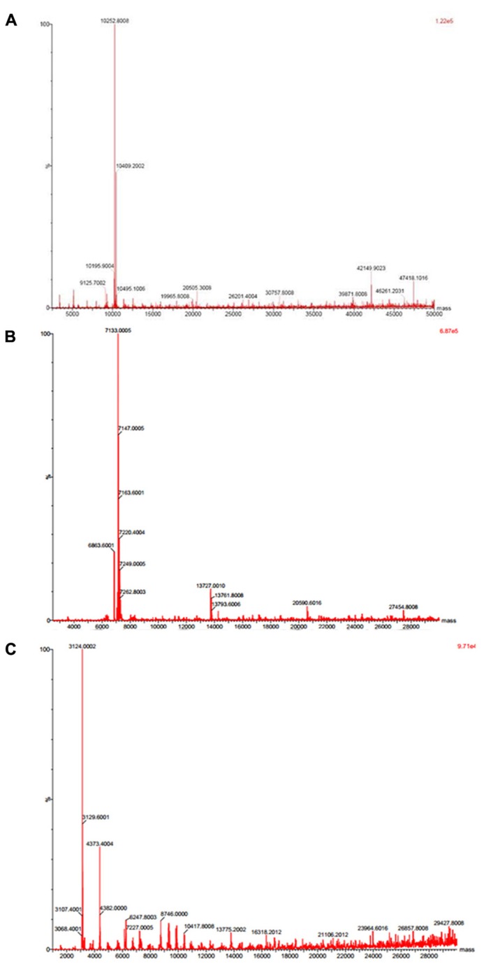 FIGURE 2