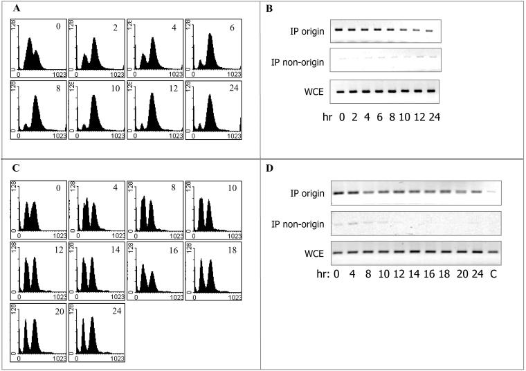 Figure 6.