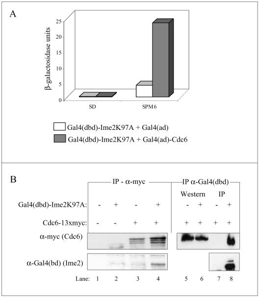 Figure 9.