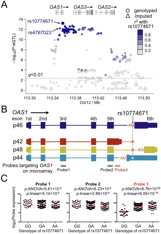 Fig 3