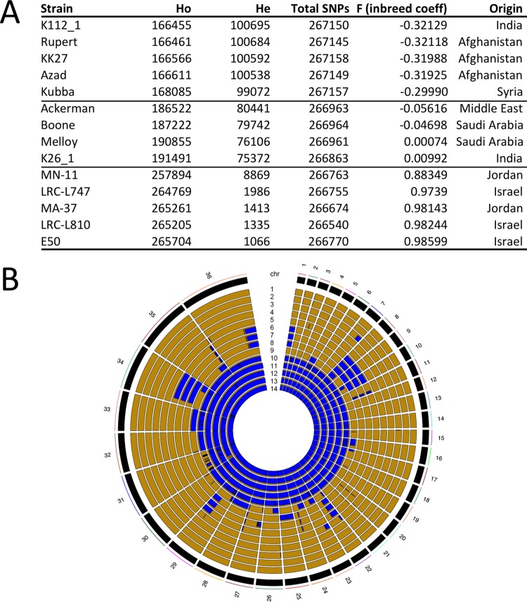 FIG 1 