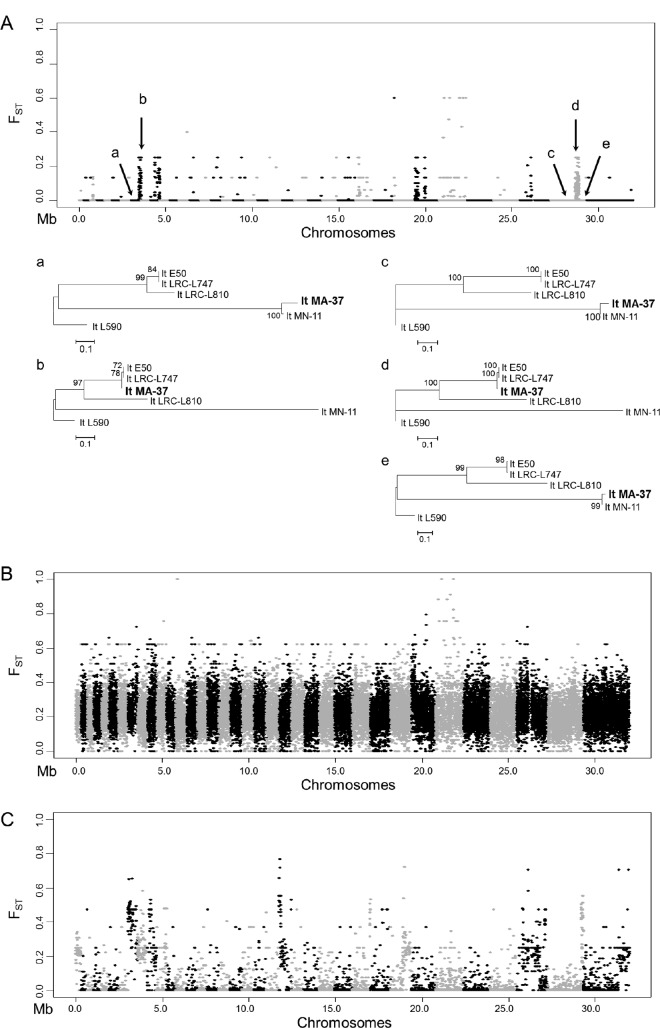 FIG 3 