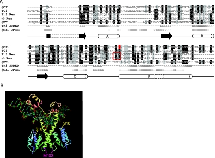 FIG. 1.