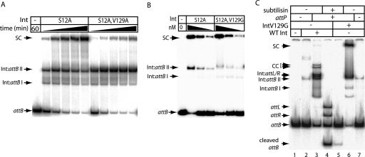 FIG. 3.