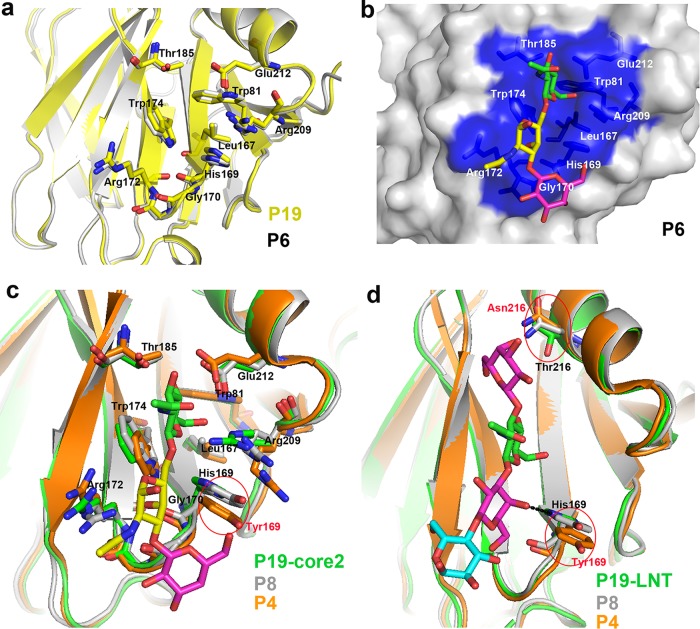 FIG 5